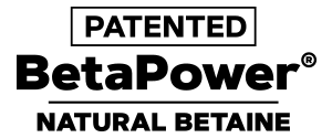 betapower logo