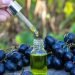 Grape seed oil in a glass jar and fresh grapes for spa and body care. The concept of spa, bio, eco products. selective focus