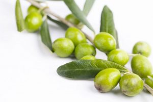 Fresh green olives on the white background