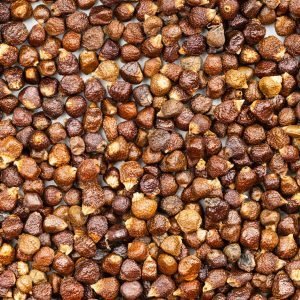 background - grains of paradise pepper