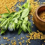 Patent awarded to Gencor for fenugreek extract’s support of sexual function