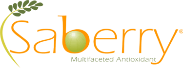Saberry Logo