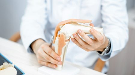 Therapist showing knee joint model