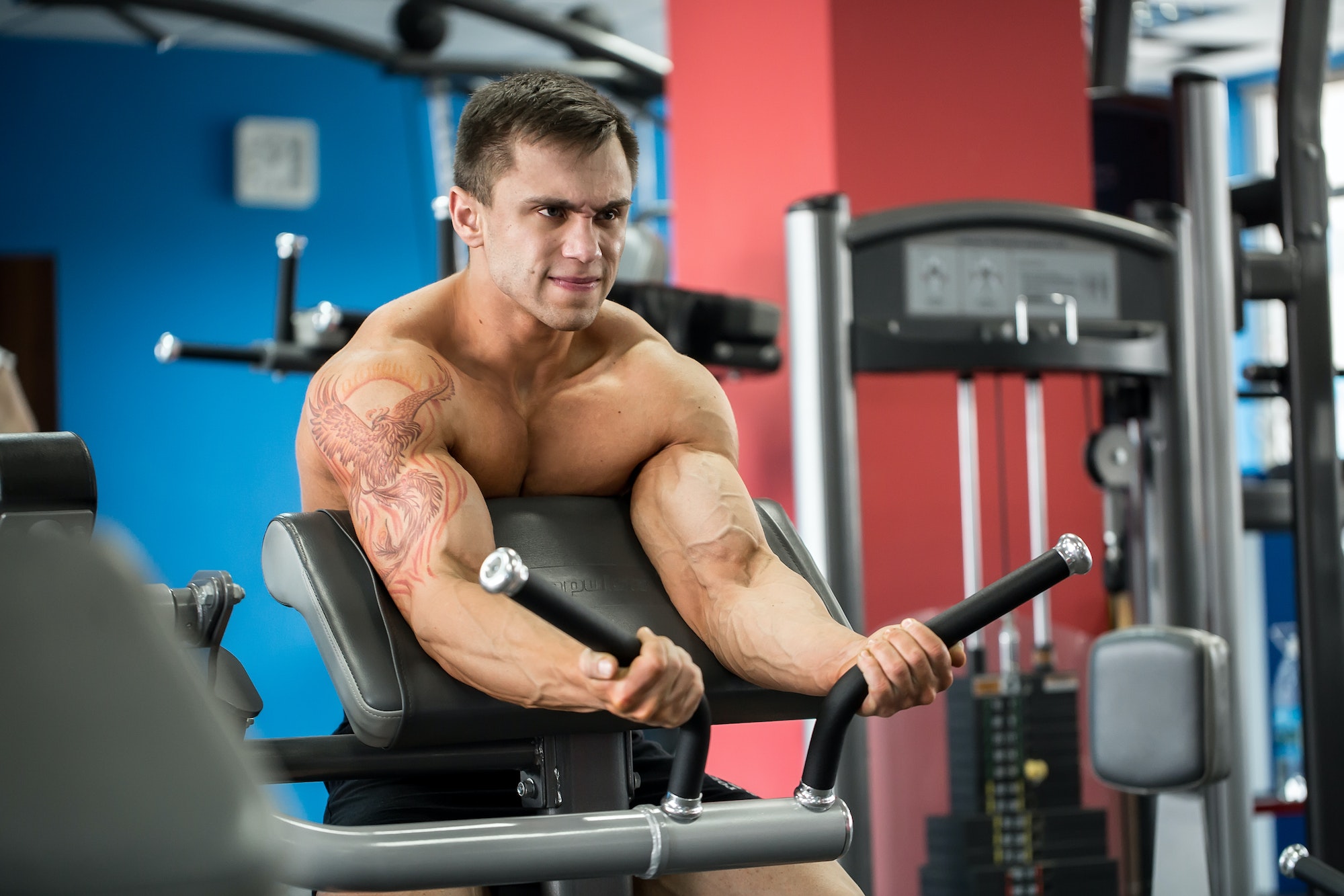 Exercise For Biceps. Young Bodybuilder Doing Heavy Weight Exercise For Biceps